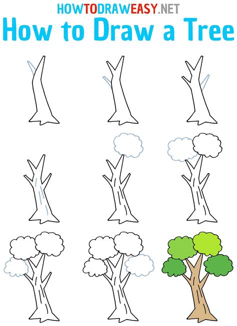 terrestrial plants drawing|How TO Draw trees step by step easy/different type of .